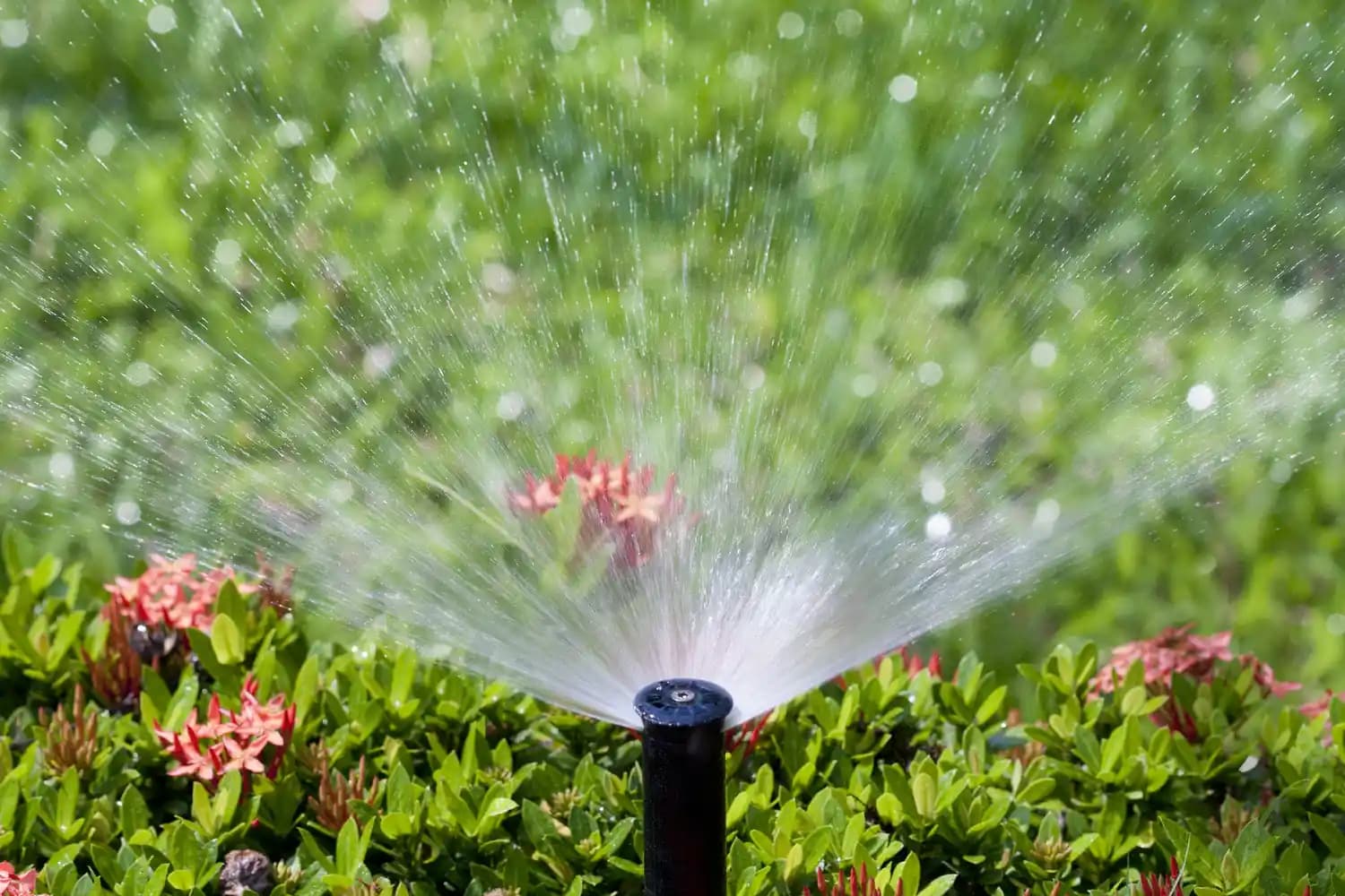 Expert Drainage Services in Springtown , TX for Efficient Water Control