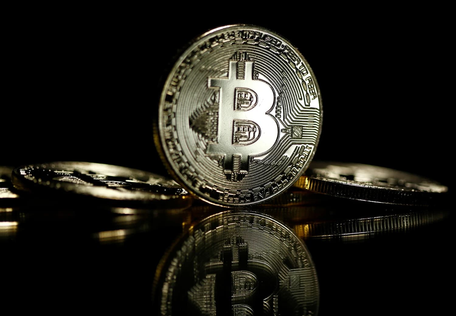 The Most Profitable Bitcoin NFTs Sold This Year