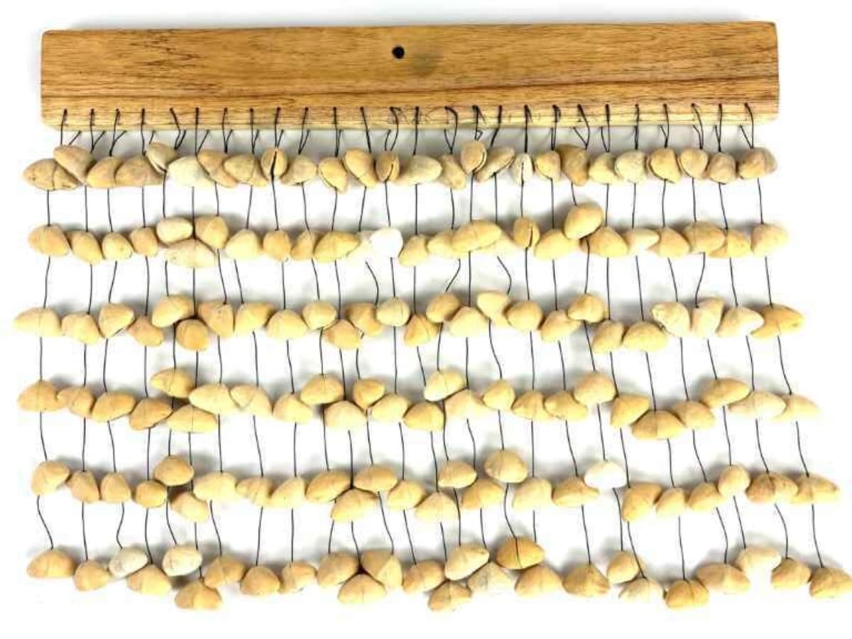 Real Mushroom Fridge Magnets Preserving the Magic of Wild Forest Fungi