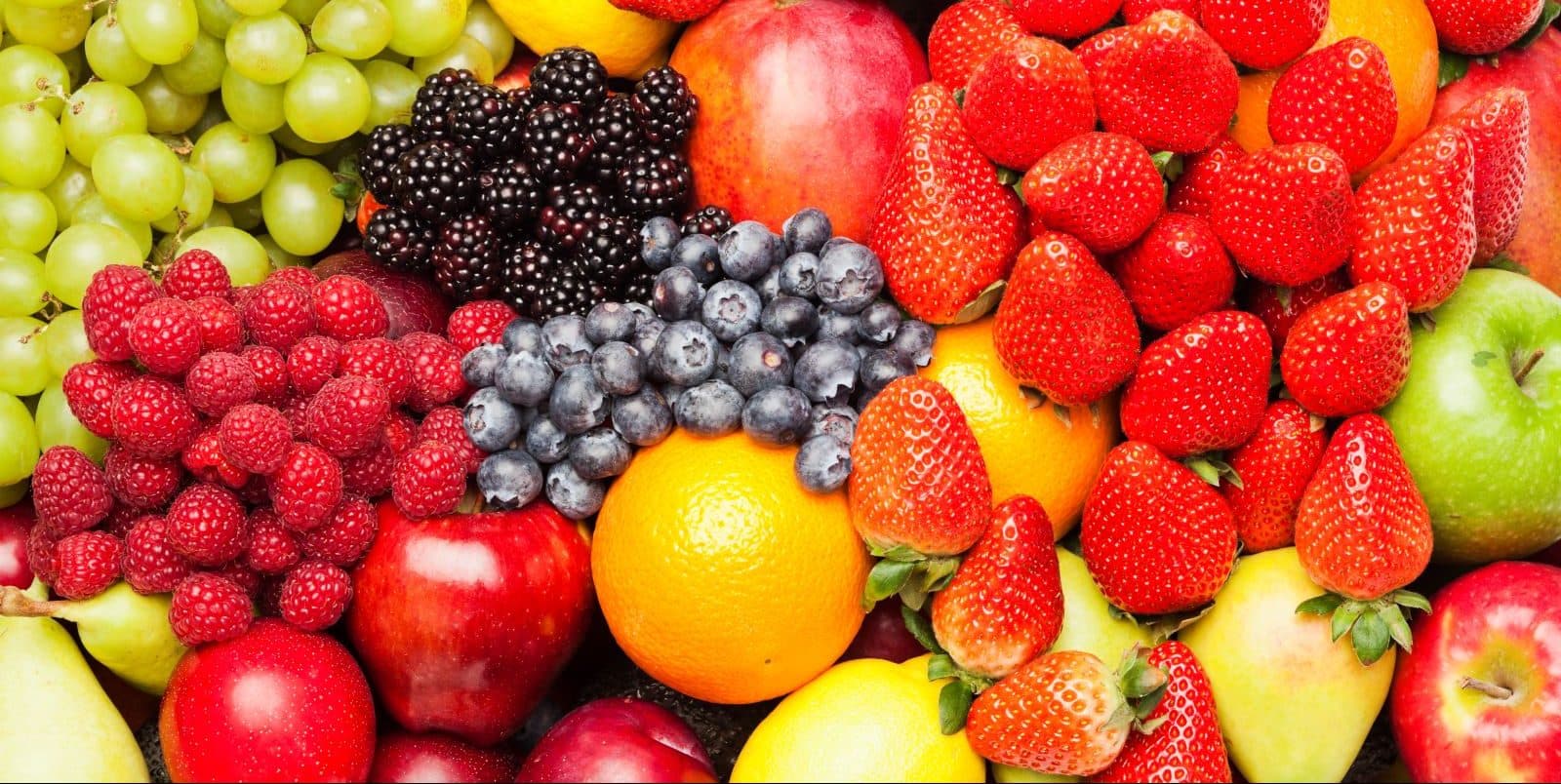 Where to Get Free Food Near You – The Free Food Project