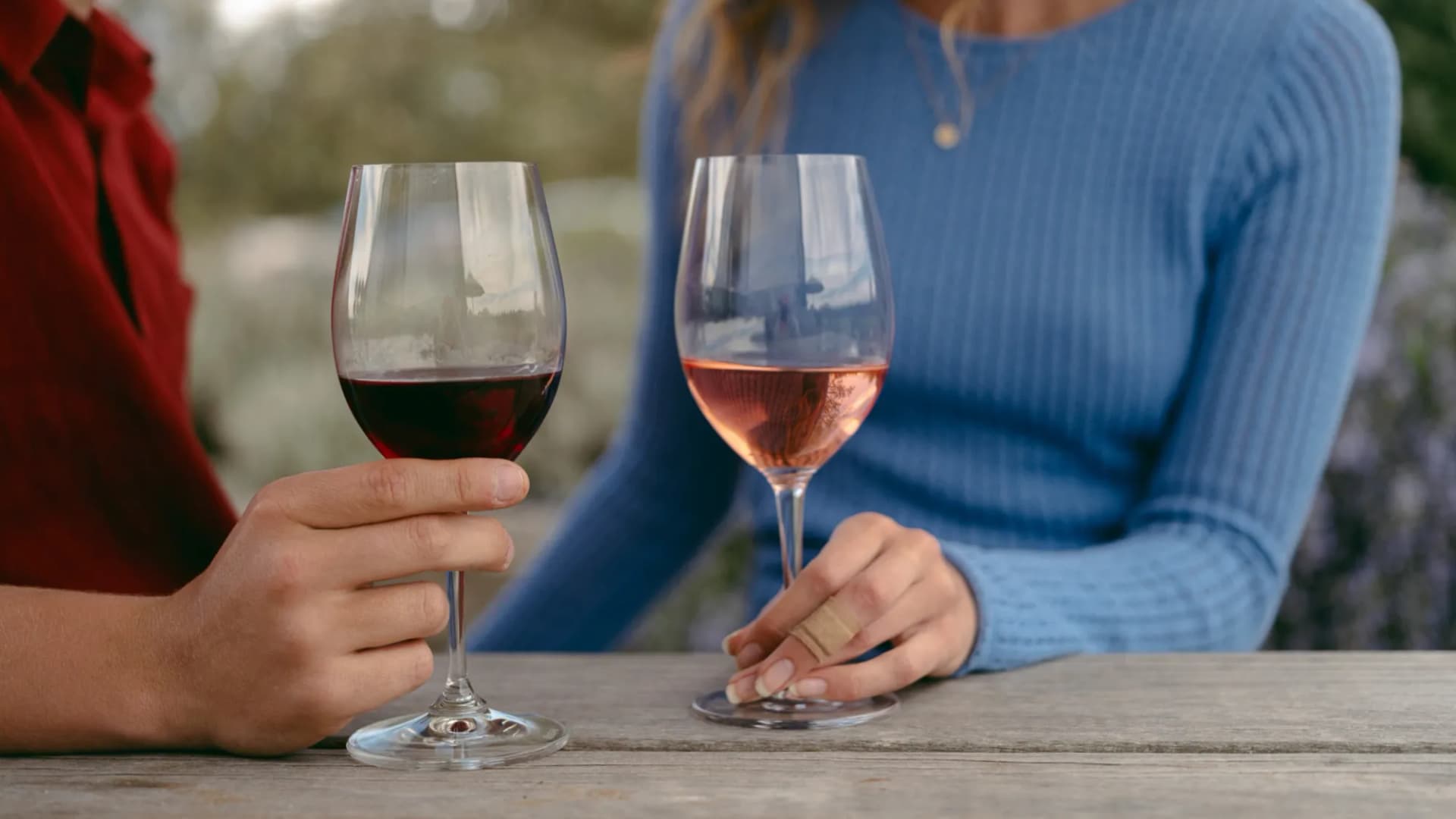 Explore Vineyards with a Langley Wine Tour Limo