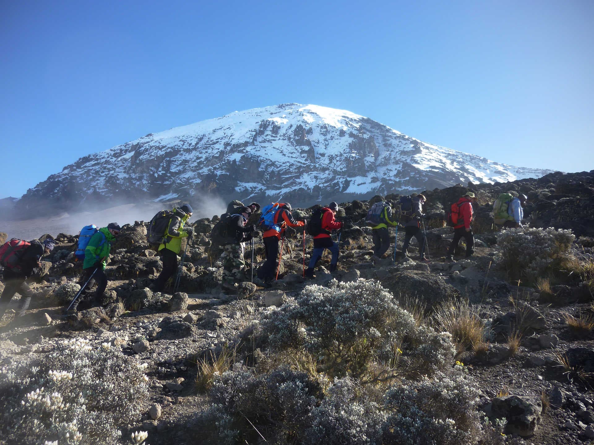 Kilimanjaro Trekking with Personalized Route Planning