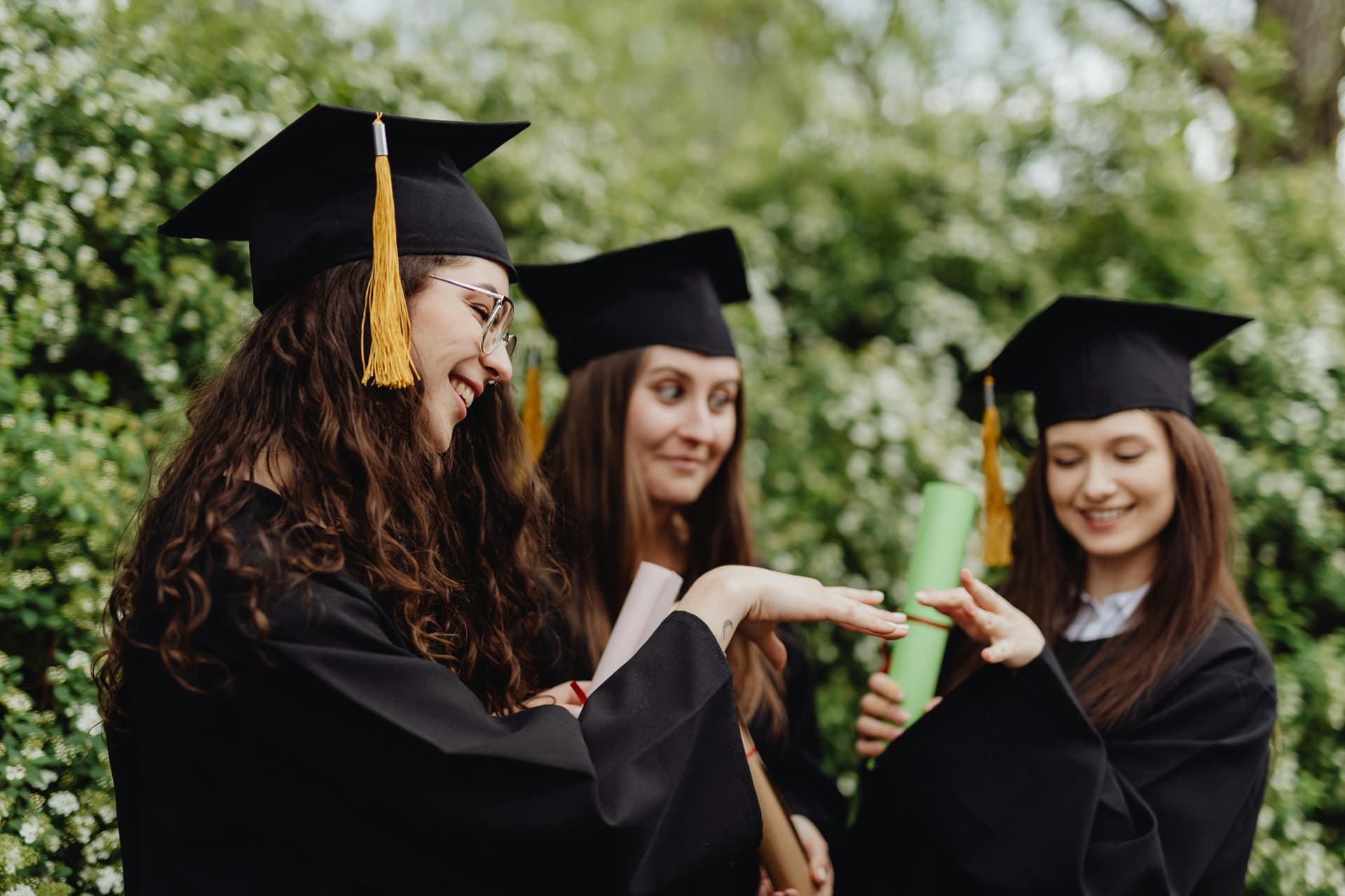 Ultimate Guide to the Best Fake Diplomas Online