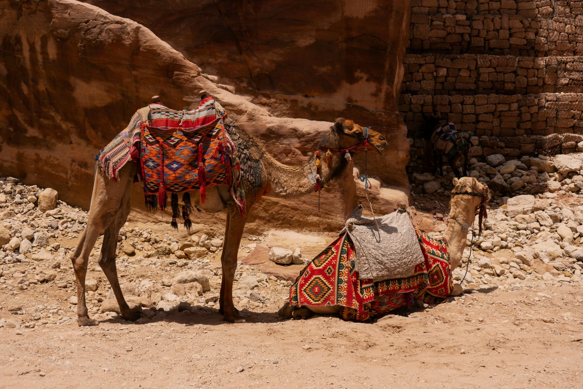 Luxury Jordan and Cairo Holiday Packages for Comfort & Fun