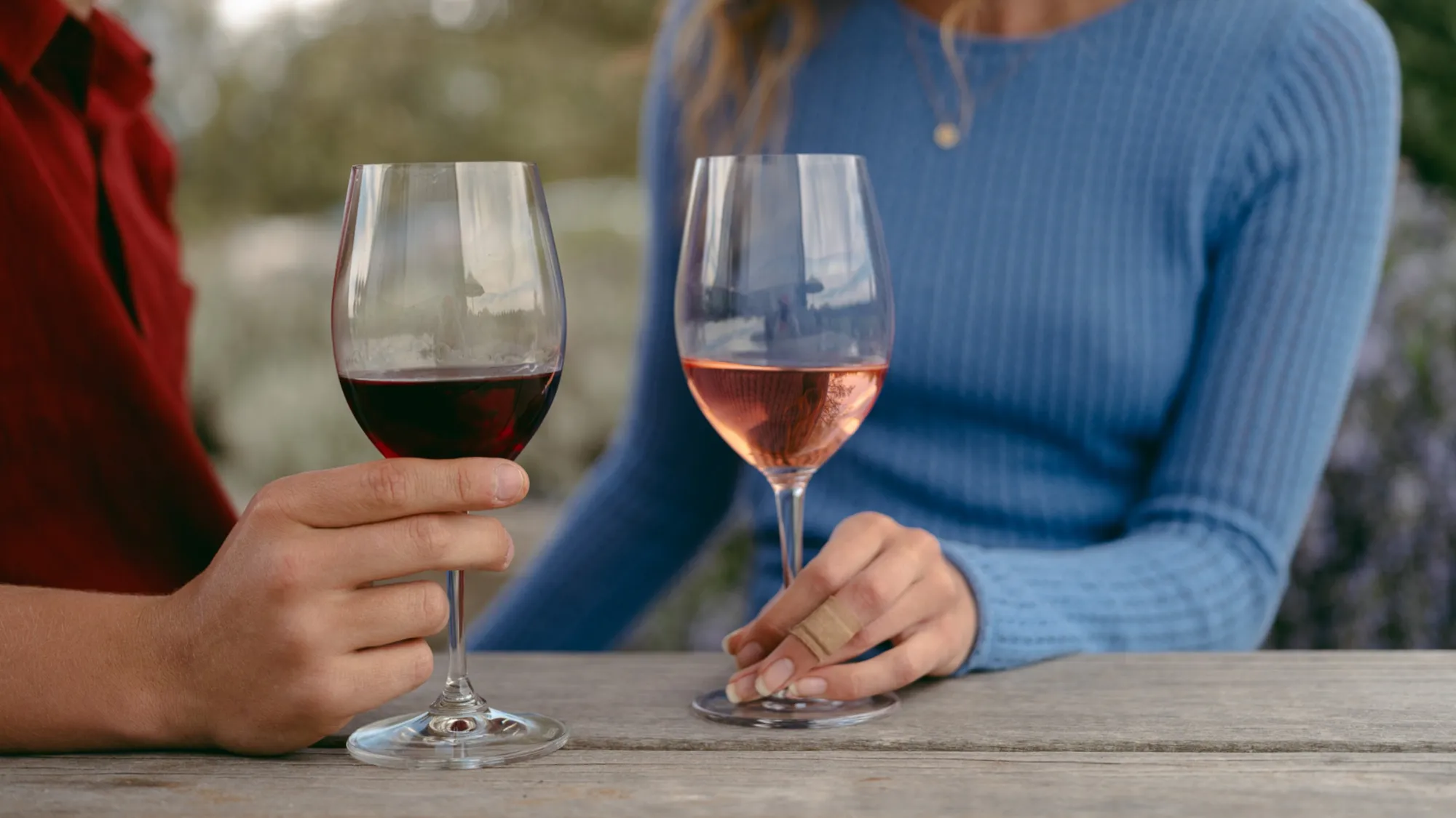 Explore Vineyards with a Langley Wine Tour Limo