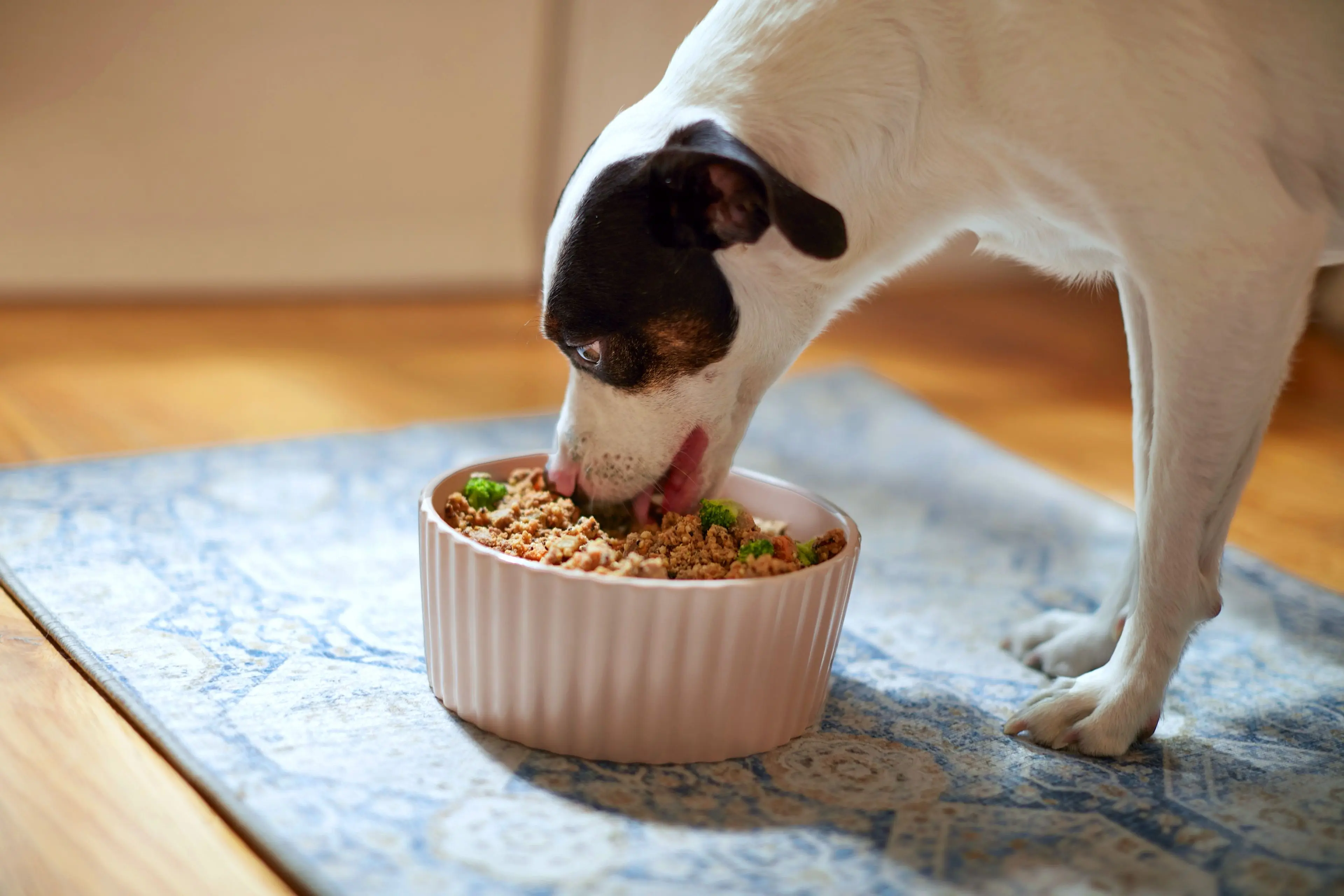 How to Calculate The Farmer's Dog Price