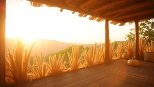 Las colmenas de madera mostrando detalles en un paisaje sereno.