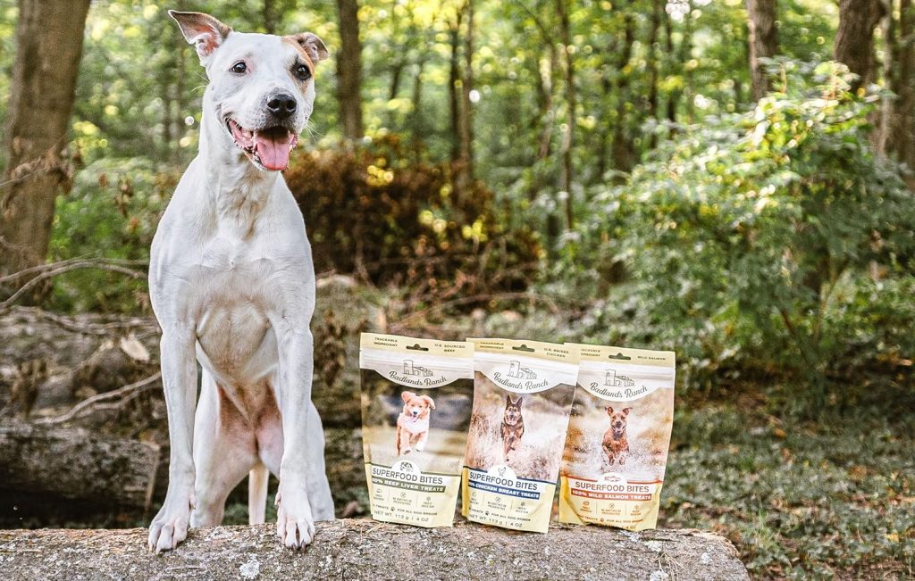 0e2e2169-f1c5-454f-8c3e-6f87b7a6565b._CR782,703,2612,1659_SX1500_