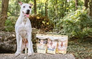 0e2e2169-f1c5-454f-8c3e-6f87b7a6565b._CR782,703,2612,1659_SX1500_