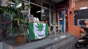 EN NW OOV-ECRAN FOCUS CANNABIS THAILAND -BAIN Lauren-