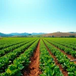 Land irrigation techniques displayed in a vibrant farmland setting, showcasing healthy crops.