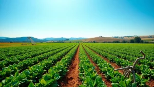 Land irrigation techniques displayed in a vibrant farmland setting, showcasing healthy crops.