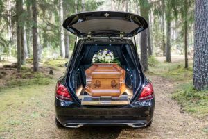 WhatsApp Image 2026-01-02 at 4.44.33 PM (15)